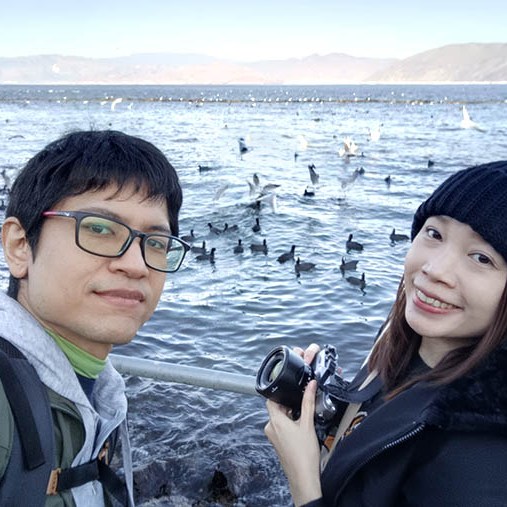 Sea gulls at Erhai lake, Dali, Yunnan, China นกนางนวลที่ทะเลสาบเอ๋อร์ไห๋ เมืองต้าหลี่ มณฑลยูนนาน ประเทศจีน