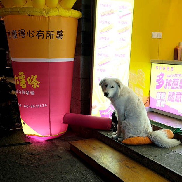 Dali Ancient City, Yunnan, China เมืองเก่าต้าหลี่ มณฑลยูนนาน ประเทศจีน