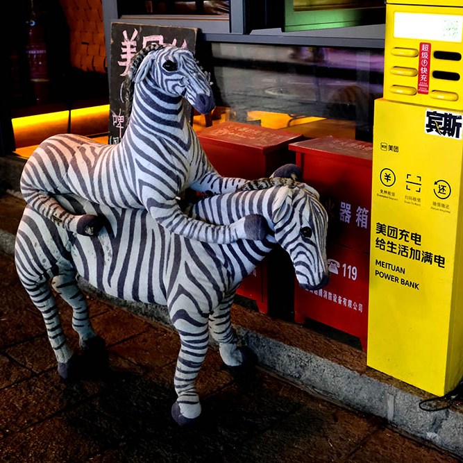 Dali Ancient City, Yunnan, China เมืองเก่าต้าหลี่ มณฑลยูนนาน ประเทศจีน