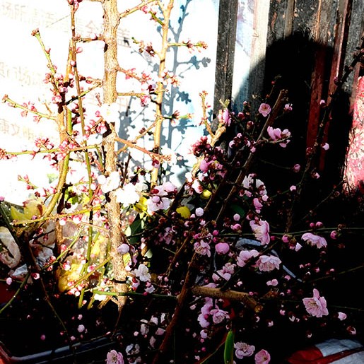 farmers' market Dali Ancient City, Yunnan, China ตลาดชาวนา เมืองเก่าต้าหลี่ มณฑลยูนนาน ประเทศจีน