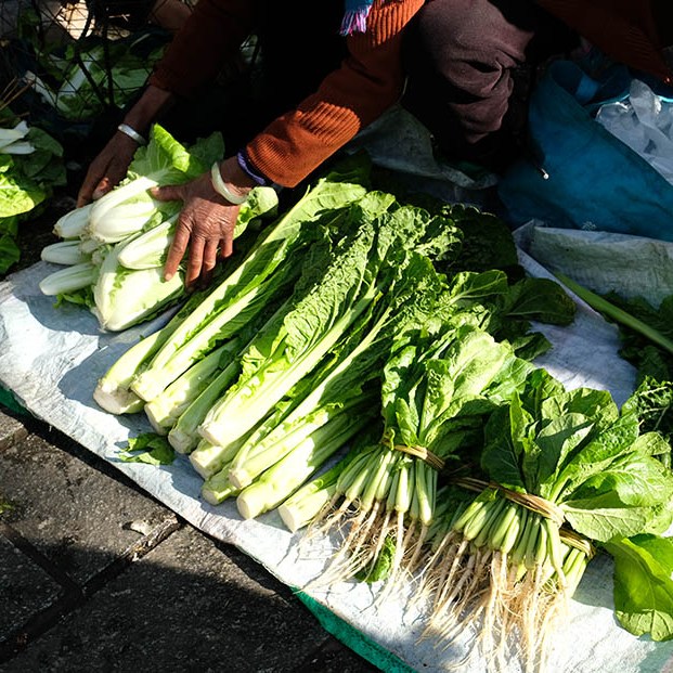 farmers' market Dali Ancient City, Yunnan, China ตลาดชาวนา เมืองเก่าต้าหลี่ มณฑลยูนนาน ประเทศจีน