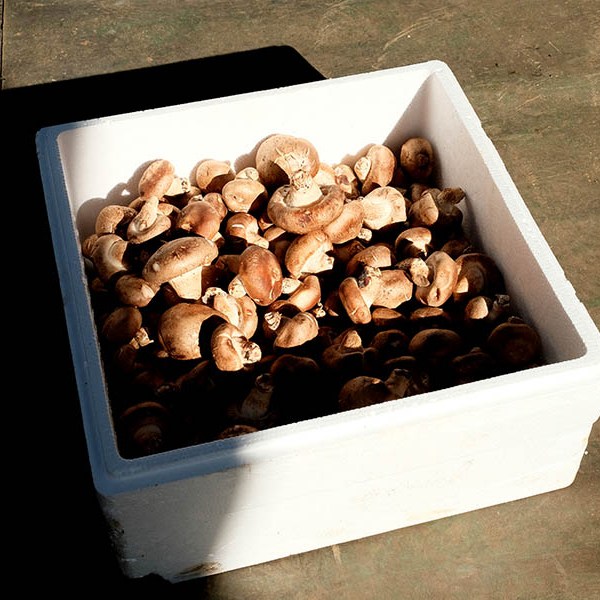 farmers' market Dali Ancient City, Yunnan, China ตลาดชาวนา เมืองเก่าต้าหลี่ มณฑลยูนนาน ประเทศจีน