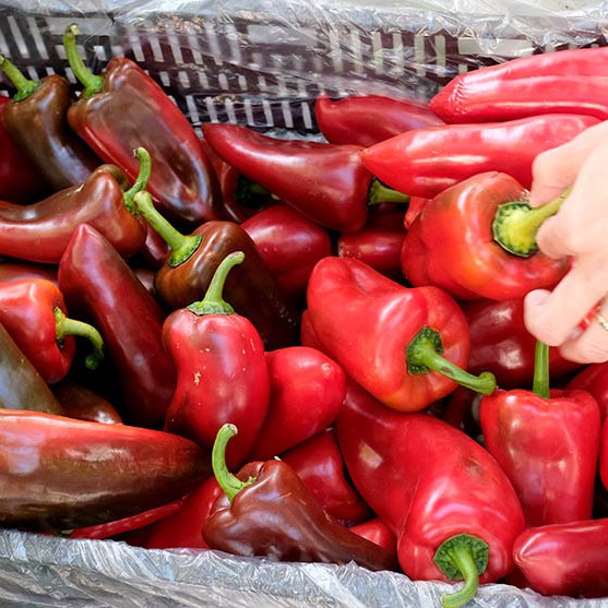 farmers' market Dali Ancient City, Yunnan, China ตลาดชาวนา เมืองเก่าต้าหลี่ มณฑลยูนนาน ประเทศจีน