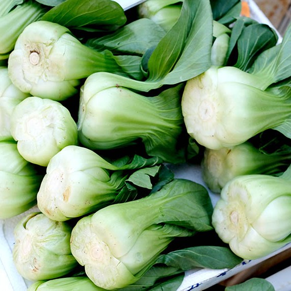 farmers' market Dali Ancient City, Yunnan, China ตลาดชาวนา เมืองเก่าต้าหลี่ มณฑลยูนนาน ประเทศจีน