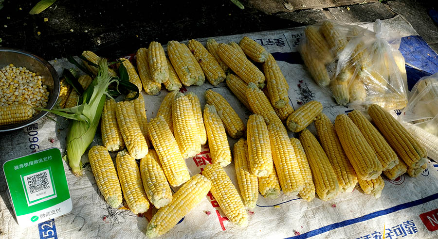 farmers' market Dali Ancient City, Yunnan, China ตลาดชาวนา เมืองเก่าต้าหลี่ มณฑลยูนนาน ประเทศจีน