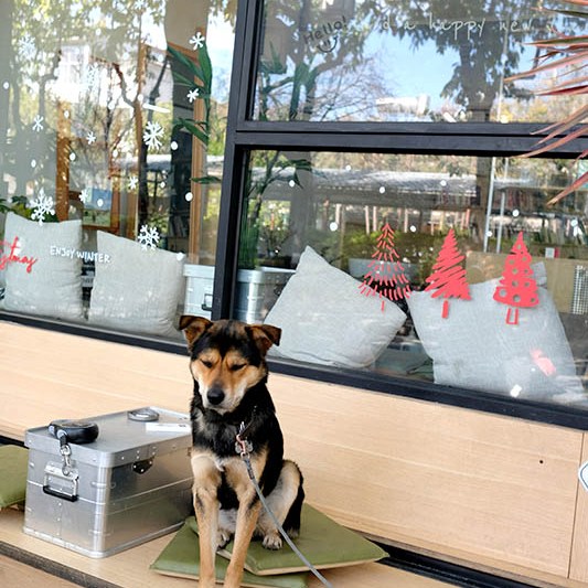 Dali Ancient City, Yunnan, China เมืองเก่าต้าหลี่ มณฑลยูนนาน ประเทศจีน