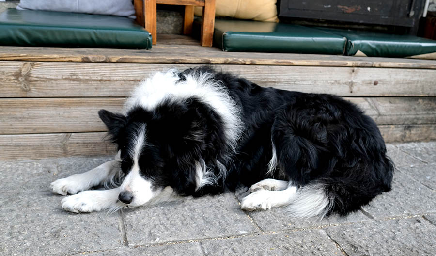 Rú Shì cafe (Truth Coffee) Dali Ancient City, Yunnan, China เมืองเก่าต้าหลี่ มณฑลยูนนาน ประเทศจีน