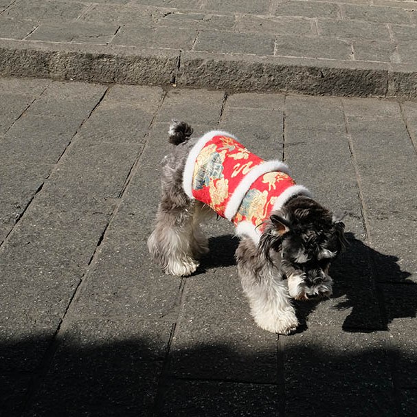 Dali Ancient City, Yunnan, China เมืองเก่าต้าหลี่ มณฑลยูนนาน ประเทศจีน