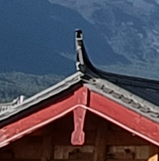 ปลาคู่ใต้จั่ว ป้องกันอัคคีภัย