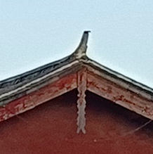 ปลาคู่ใต้จั่ว ป้องกันอัคคีภัย