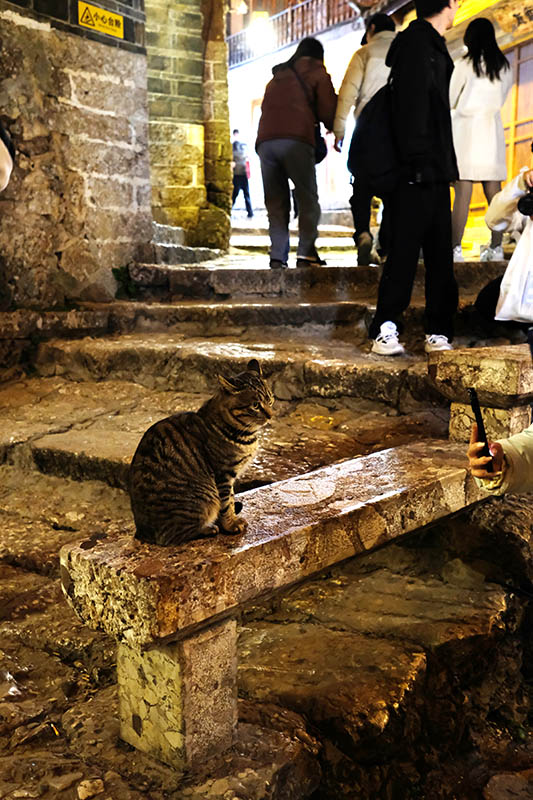 Lijiang old town at night, Yunnan province, China เมืองเก่าลี่เจียง ตอนกลางคืน มณฑลยูนนาน ประเทศจีน