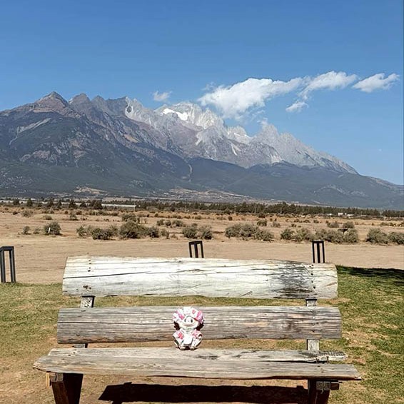 Yún dī'àn cafe, Lijiang, Yunnan province, China คาเฟ่ หยุน ตี้ อั้น, ลี่เจียง, มณฑลยูนนาน ประเทศจีน