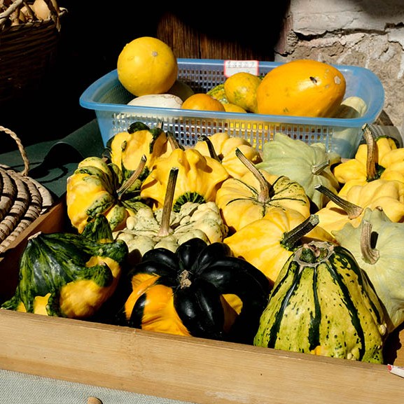 หมู่บ้านไป๋ชา ลี่เจียง ยูนนาน ประเทศจีน Baisha Ancient Town, Lijiang, Yunnan, China