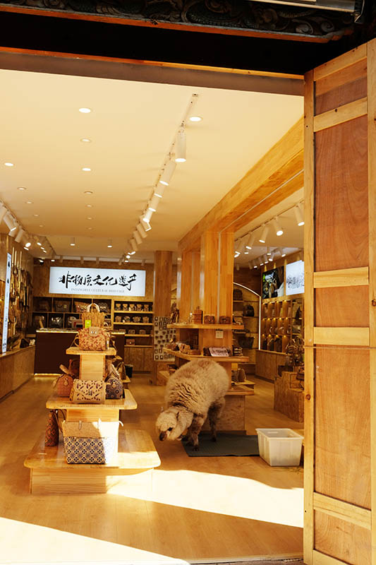 อัลปาก้า ในร้านขายกระเป๋า ที่หมู่บ้านไป๋ชา ลี่เจียง ยูนนาน ประเทศจีน 
Alpaca in a bag shop at Baisha Ancient Town, Lijiang, Yunnan, China