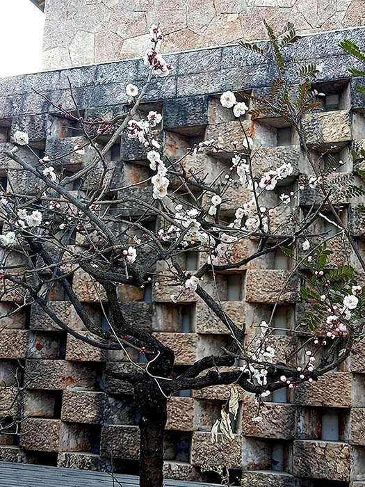 หมู่บ้านไป๋ชา ลี่เจียง ยูนนาน ประเทศจีน Baisha Ancient Town, Lijiang, Yunnan, China