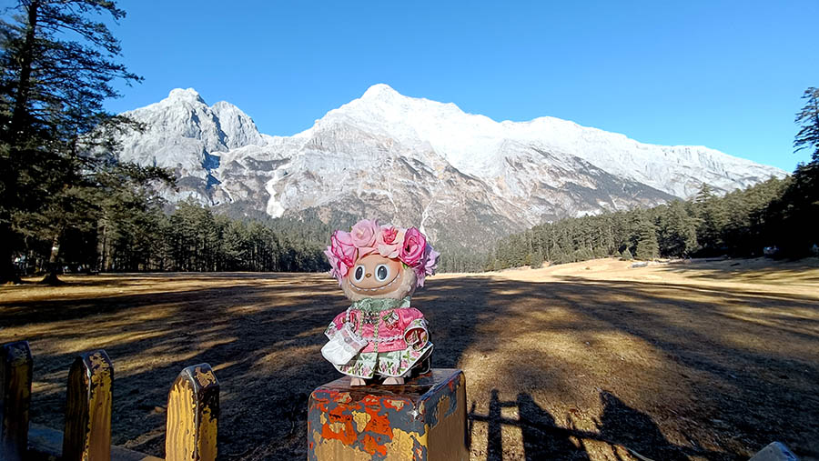 Spruce Meadow, Jade Dragon Snow Mountain, Lijiang, Yunnan Province, China / Spruce Meadow ภูเขาหิมะมังกรหยก ลี่เจียง มณฑลยูนนาน ประเทศจีน