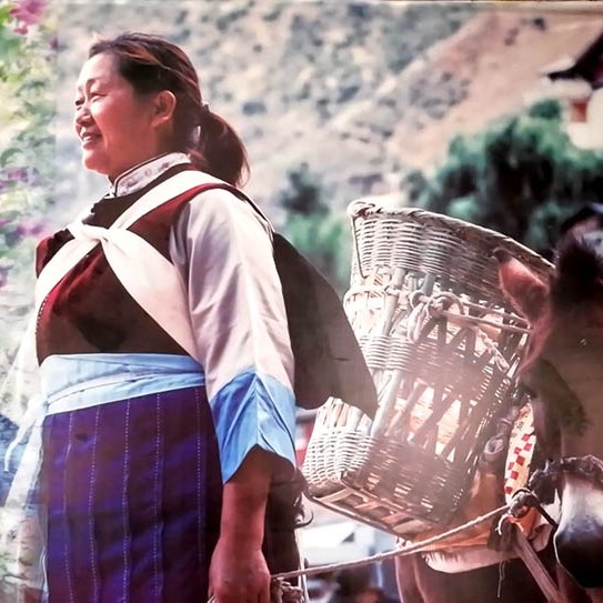 on the way to Spruce Meadow, Jade Dragon Snow Mountain, Lijiang, Yunnan Province, China ระหว่างเดินทางไป Spruce Meadow ภูเขาหิมะมังกรหยก ลี่เจียง มณฑลยูนนาน ประเทศจีน
