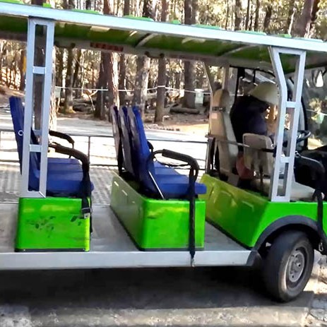 on the way to Spruce Meadow, Jade Dragon Snow Mountain, Lijiang, Yunnan Province, China ระหว่างเดินทางไป Spruce Meadow ภูเขาหิมะมังกรหยก ลี่เจียง มณฑลยูนนาน ประเทศจีน