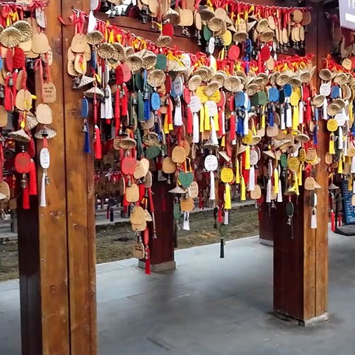 Spruce Meadow, Jade Dragon Snow Mountain, Lijiang, Yunnan Province, China / Spruce Meadow ภูเขาหิมะมังกรหยก ลี่เจียง มณฑลยูนนาน ประเทศจีน