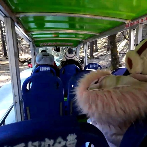 Spruce Meadow, Jade Dragon Snow Mountain, Lijiang, Yunnan Province, China / Spruce Meadow ภูเขาหิมะมังกรหยก ลี่เจียง มณฑลยูนนาน ประเทศจีน