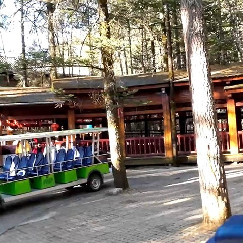 Spruce Meadow, Jade Dragon Snow Mountain, Lijiang, Yunnan Province, China / Spruce Meadow ภูเขาหิมะมังกรหยก ลี่เจียง มณฑลยูนนาน ประเทศจีน
