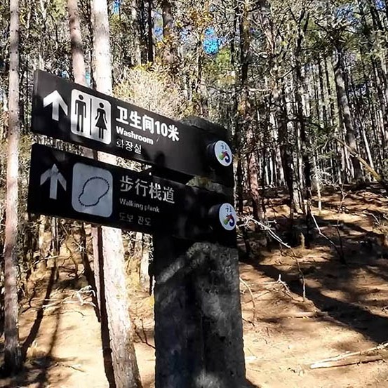 on the way to Spruce Meadow, Jade Dragon Snow Mountain, Lijiang, Yunnan Province, China ระหว่างเดินทางไป Spruce Meadow ภูเขาหิมะมังกรหยก ลี่เจียง มณฑลยูนนาน ประเทศจีน