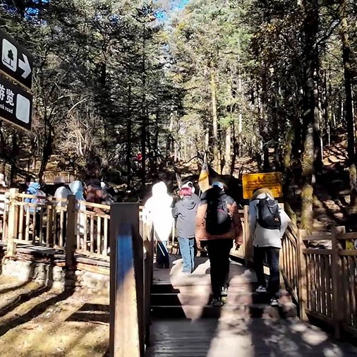 on the way to Spruce Meadow, Jade Dragon Snow Mountain, Lijiang, Yunnan Province, China ระหว่างเดินทางไป Spruce Meadow ภูเขาหิมะมังกรหยก ลี่เจียง มณฑลยูนนาน ประเทศจีน