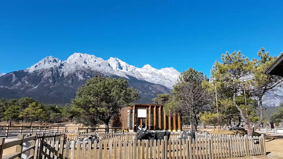 Ganhaizi, Jade Dragon Snow Mountain, Lijiang, Yunnan Province, China / Ganhaizi ภูเขาหิมะมังกรหยก ลี่เจียง มณฑลยูนนาน ประเทศจีน