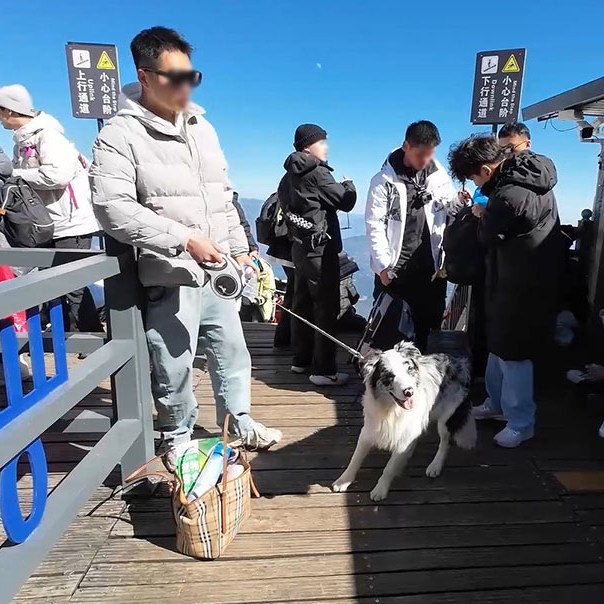 Jade Dragon Snow Mountain, Glacier Park, Lijiang, Yunnan, China ภูเขาหิมะมังกรหยก อุทยานธารน้ำแข็ง ลี่เจียง มณฑลยูนนาน ประเทศจีน