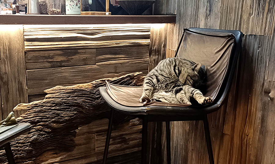 เมืองเก่าลี่เจียง มณฑลยูนนาน ประเทศจีน Lijiang old town, Yunnan province, China