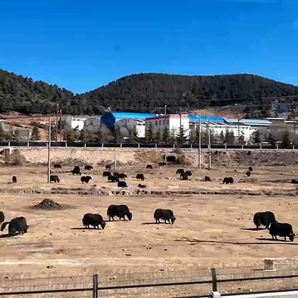 view from high-speed train while traveling from Lijiang to Shangri-la วิวจากหน้าต่างรถไฟความเร็วสูง  ระหว่างเดินทางจากลี่เจียงไปแชงกรีลา