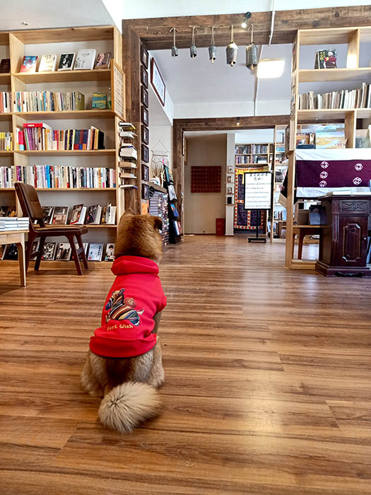 Library at Yanlu Library Oxygen Hotel at Shangri-la, Yunnan province, China ห้องสมุดที่โรงแรม Yanlu Library Oxygen Hotel แชงกรีลา มณฑลยูนนาน ประเทศจีน