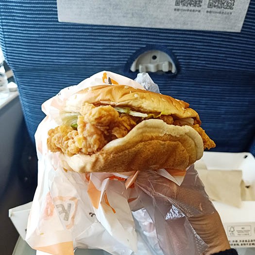 High-speed train 2nd class, travel from Shangri-la to Kunming รถไฟความเร็วสูง ชั้นสอง เดินทางจากแชงกรีล่าไปคุนหมิง