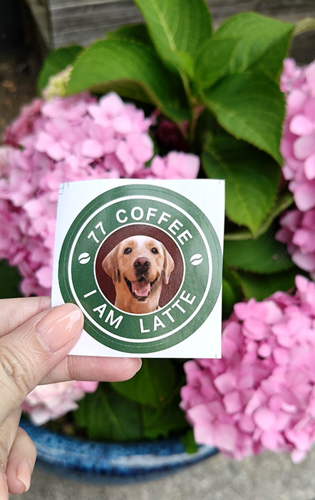 77 Coffee, Cafe near St. Michael's Cathedral, Qingdao, Shandong province, China ร้านกาแฟ 77 Coffee คาเฟ่ใกล้มหาวิหารเซนต์ไมเคิล, ชิงเต่า มณฑลชานตง ประเทศจีน