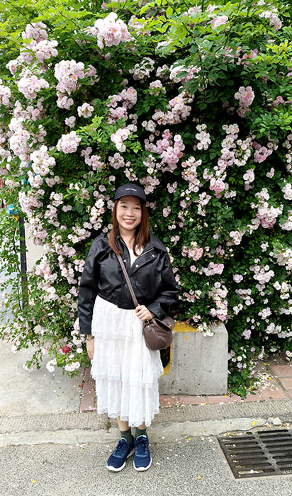 blooming roses in May in Qingdao, Shandong province, China , ดอกกุหลาบบานสะพรั่งในฤดูใบไม้ผลิ เดือนพฤษภาคม ชิงเต่า มณฑลชานตง ประเทศจีน