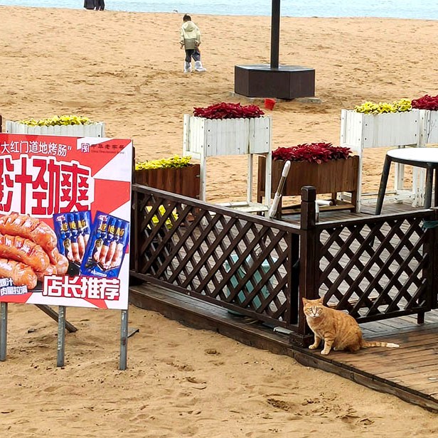 Qingdao no.2 bathing beach, Badaguan, Qingdao, Shandong province, China หาดหมายเลข 2 ปาต้ากวน ชิงเต่า มณฑลชานตง ประเทศจีน