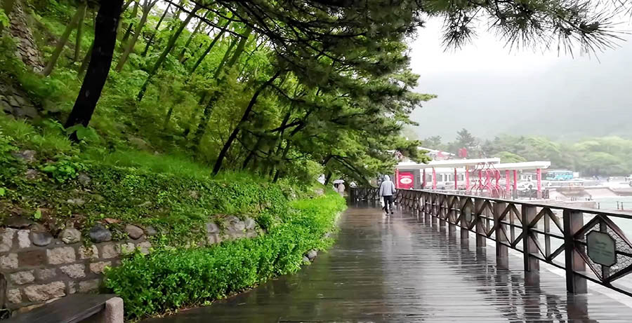 Laoshan National Park, Qingdao, Shandong province, China อุทยานแห่งชาติเหลาซาน ชิงเต่า มณฑลชานตง ประเทศจีน