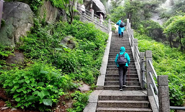 Laoshan National Park, Qingdao, Shandong province, China อุทยานแห่งชาติเหลาซาน ชิงเต่า มณฑลชานตง ประเทศจีน