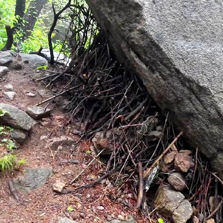 Yangkou, Laoshan National Park, Qingdao, Shandong province, China หยางโข่ว อุทยานแห่งชาติเหลาซาน ชิงเต่า มณฑลชานตง ประเทศจีน