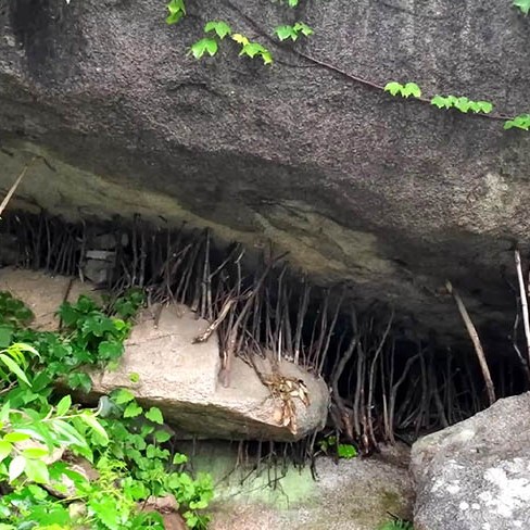 Yangkou, Laoshan National Park, Qingdao, Shandong province, China หยางโข่ว อุทยานแห่งชาติเหลาซาน ชิงเต่า มณฑลชานตง ประเทศจีน