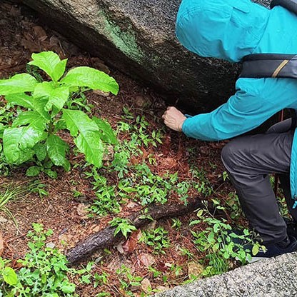 Yangkou, Laoshan National Park, Qingdao, Shandong province, China หยางโข่ว อุทยานแห่งชาติเหลาซาน ชิงเต่า มณฑลชานตง ประเทศจีน
