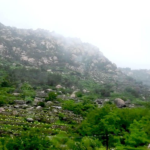 along the way on the bus, Laoshan National Park, Qingdao, Shandong province, China ทิวทัศน์ระหว่างทางบนรถบัส อุทยานแห่งชาติเหลาซาน ชิงเต่า มณฑลชานตง ประเทศจีน