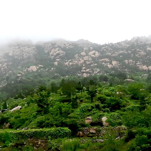 along the way on the bus, Laoshan National Park, Qingdao, Shandong province, China ทิวทัศน์ระหว่างทางบนรถบัส อุทยานแห่งชาติเหลาซาน ชิงเต่า มณฑลชานตง ประเทศจีน