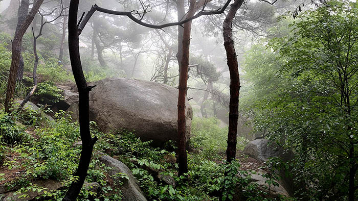 Yangkou, Laoshan National Park, Qingdao, Shandong province, China หยางโข่ว อุทยานแห่งชาติเหลาซาน ชิงเต่า มณฑลชานตง ประเทศจีน