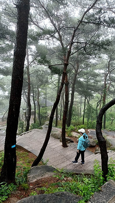 Yangkou, Laoshan National Park, Qingdao, Shandong province, China หยางโข่ว อุทยานแห่งชาติเหลาซาน ชิงเต่า มณฑลชานตง ประเทศจีน
