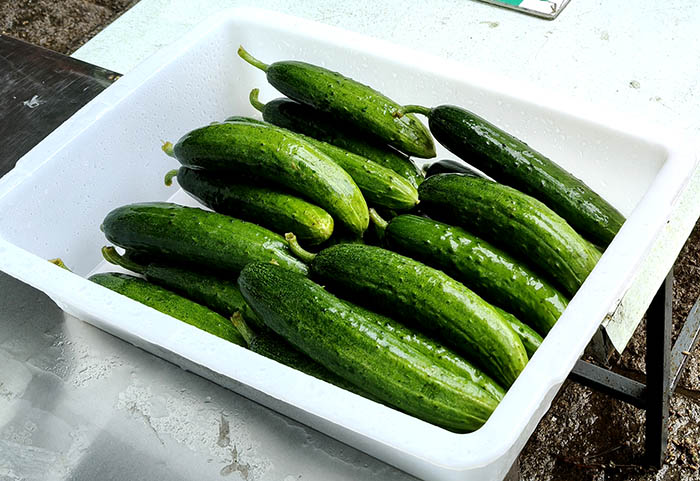 vegetables for sale, Yangkou, Laoshan National Park, Qingdao, Shandong province, China แผงขายผัก หยางโข่ว อุทยานแห่งชาติเหลาซาน ชิงเต่า มณฑลชานตง ประเทศจีน