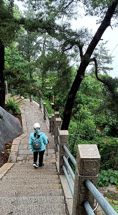 Yangkou, Laoshan National Park, Qingdao, Shandong province, China หยางโข่ว อุทยานแห่งชาติเหลาซาน ชิงเต่า มณฑลชานตง ประเทศจีน