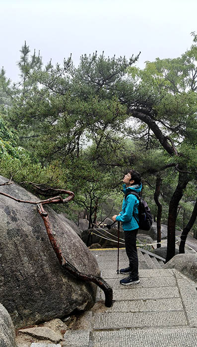 Yangkou, Laoshan National Park, Qingdao, Shandong province, China หยางโข่ว อุทยานแห่งชาติเหลาซาน ชิงเต่า มณฑลชานตง ประเทศจีน