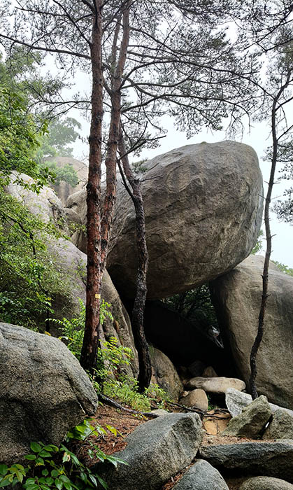 Yangkou, Laoshan National Park, Qingdao, Shandong province, China หินที่ดูเหมือนหัวเต่า หยางโข่ว อุทยานแห่งชาติเหลาซาน ชิงเต่า มณฑลชานตง ประเทศจีน